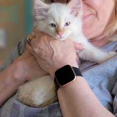 Cotton Ball, fostered by Cathy Cleland