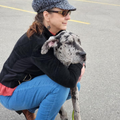 Apollo, fostered by Denise Corbet