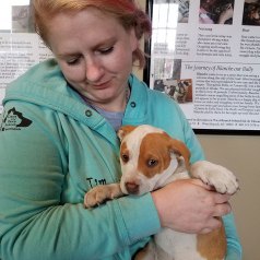 MEELO and sister BRILLO, fostered by Nicole Daniels