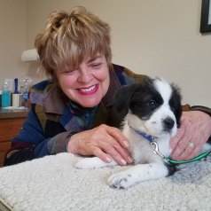 ROCKY, fostered by Jane Hutchins