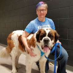 LUKE, emergency fostered and adopted by Marj Esch