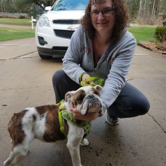 BLANCHE, hospice foster by Jamie & Kelly Reid