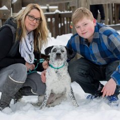 LULU, fostered and adopted by Amy Hribek