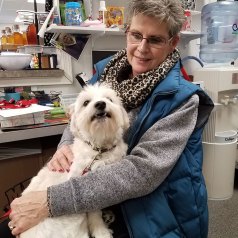 BEAU, fostered by Luann Cann