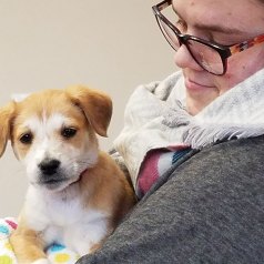 SAVANNAH, fostered and adopted by Charlie & Julie Elliott