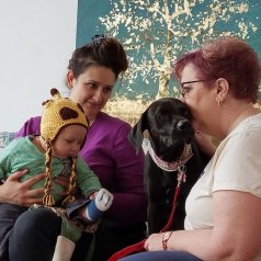 CASEY, fostered and adopted by Marie Gibson