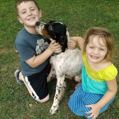 MULLIGAN, fostered by Cory & April Barz