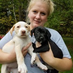 SANDY & COAL, fostered by Nicole Daniels