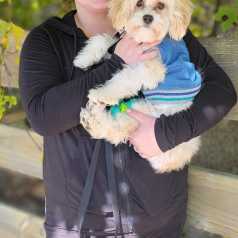 Sammy, fostered by Mandy Haacke