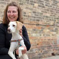 Bailey, fostered by Mary Dicker