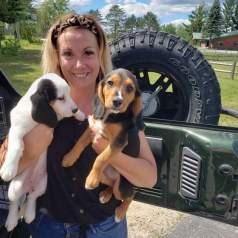 ROXY and SHILOH, fostered by Melissa Sullivan