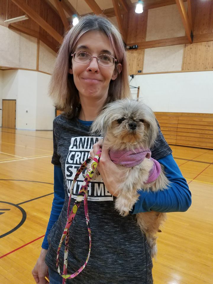 Holy Shih Tzu Claws And Paws Rescue West Branch Mi