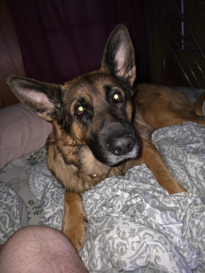 Bruno
