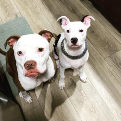 Carly & Bella