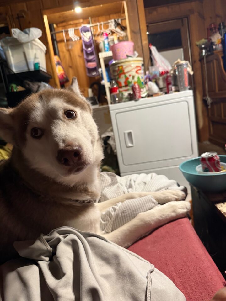 Cooper