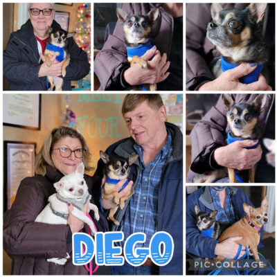 DIEGO, adopted by Jim & Lyn Kerezsi
