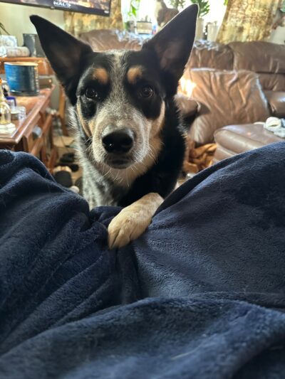 Eli