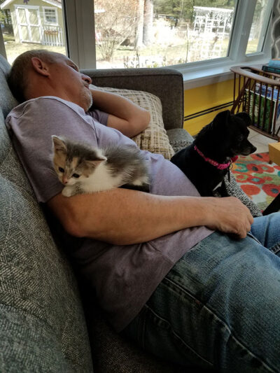 Foster with Claws and Paws Rescue