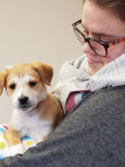 SAVANNAH, fostered and adopted by Charlie & Julie Elliott