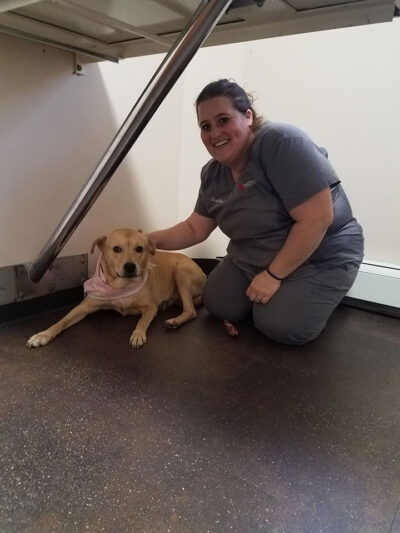 ROSIE, fostered by Christina Drabek