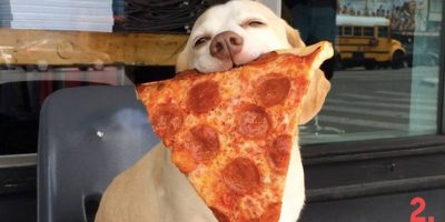 G's Pizzeria Tip Night
