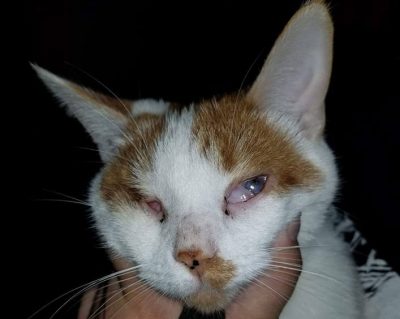 Helen after being rescued