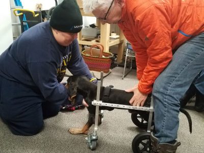 Rosco getting his wheels