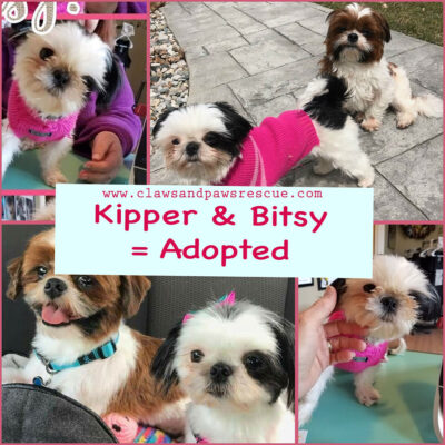 KIPPER and BITSY