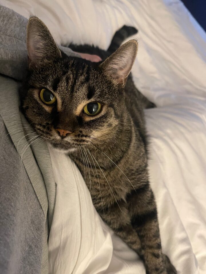 Millie