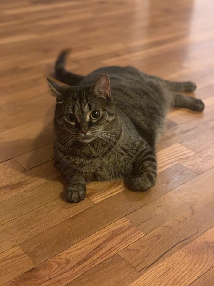 Millie