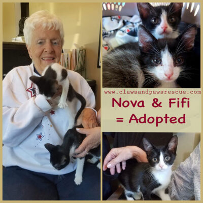 NOVA and FIFI