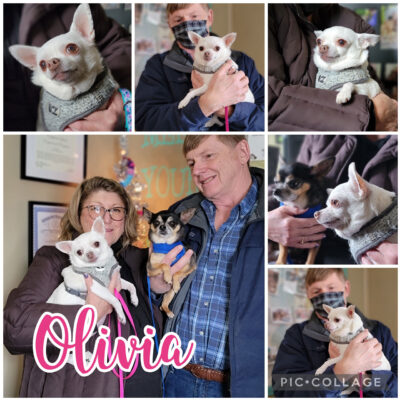 OLIVIA, adopted by Jim & Lyn Kerezsi