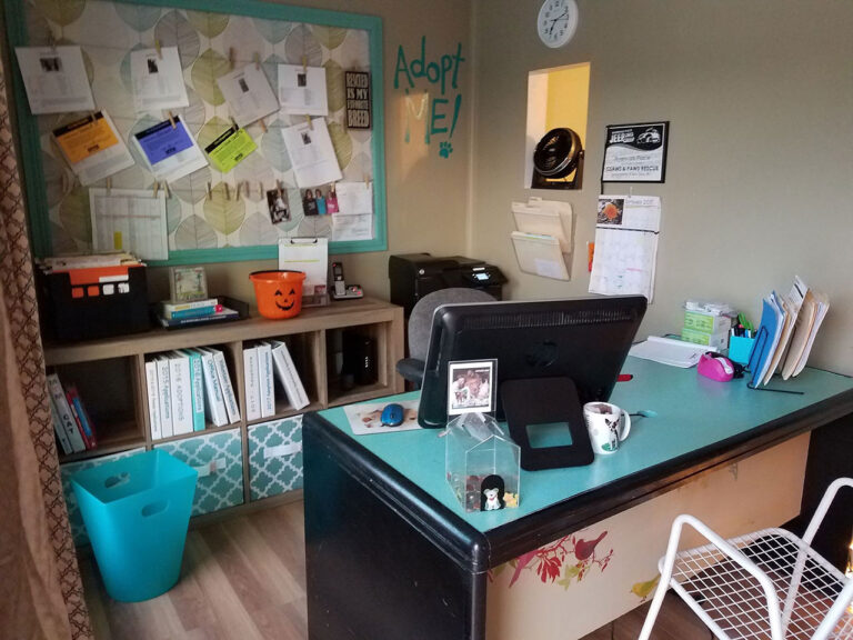 Our cute little office where it all happens