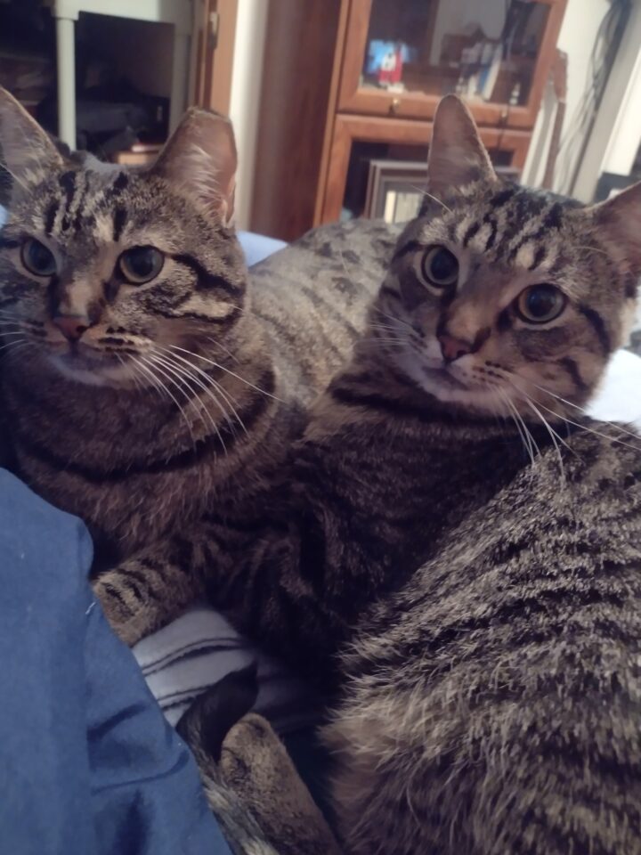 Ozzy and sibling