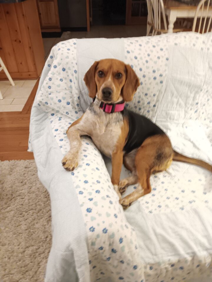 Penny