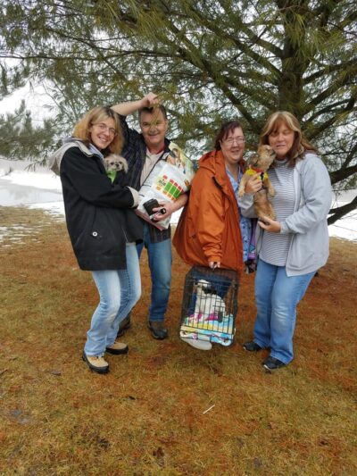 Claws and Paws Rescue friends acting silly