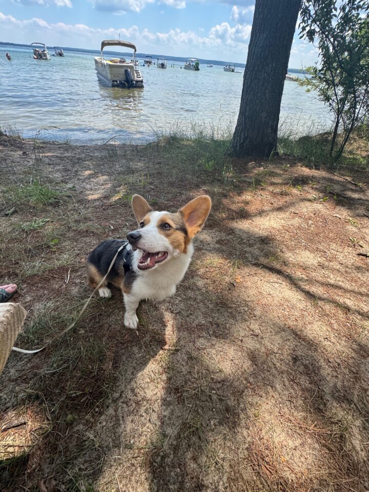 Remington
