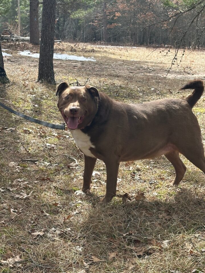 Rosco