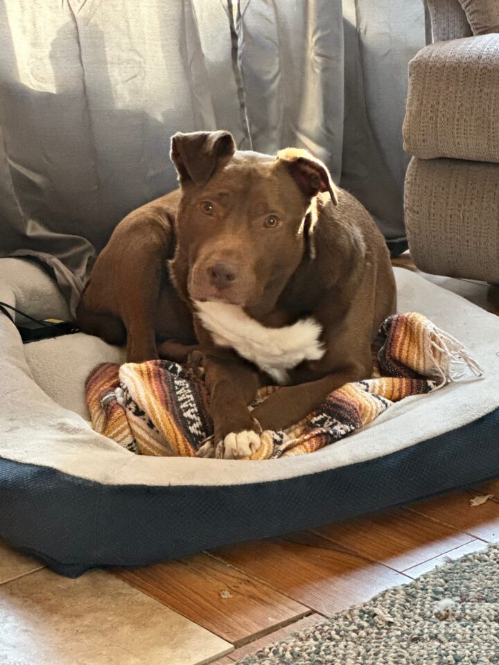 Rosco