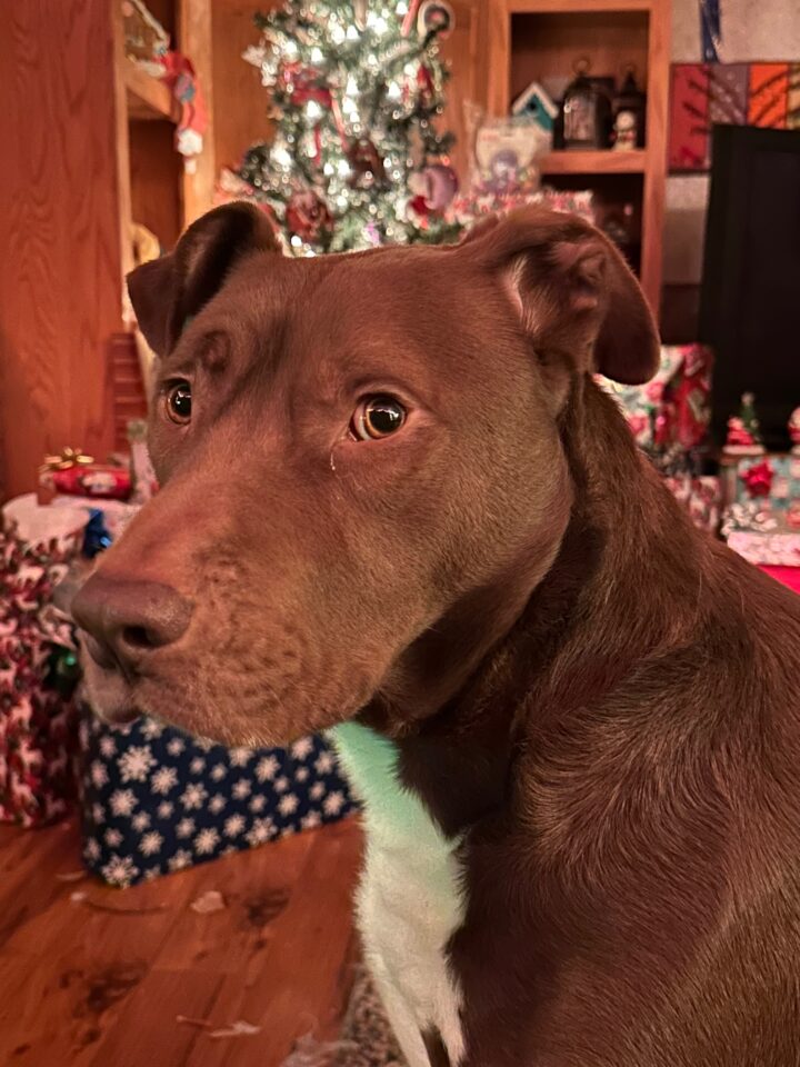 Rosco