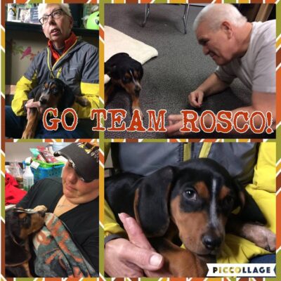 ROSCO