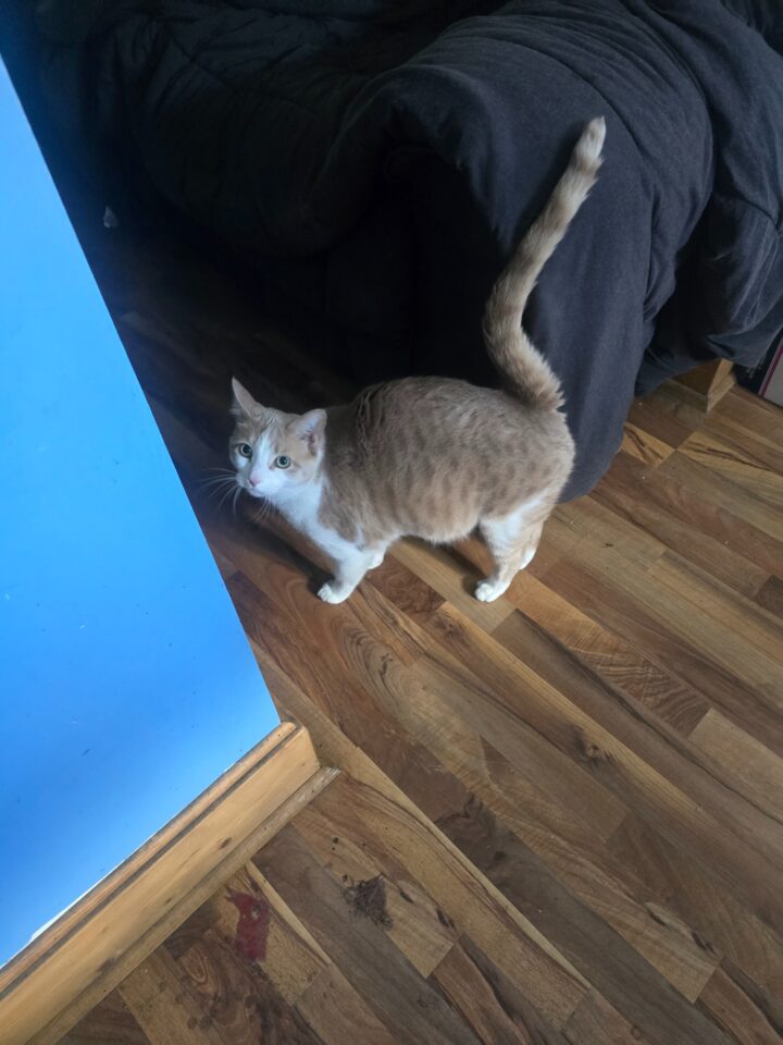 Rusty