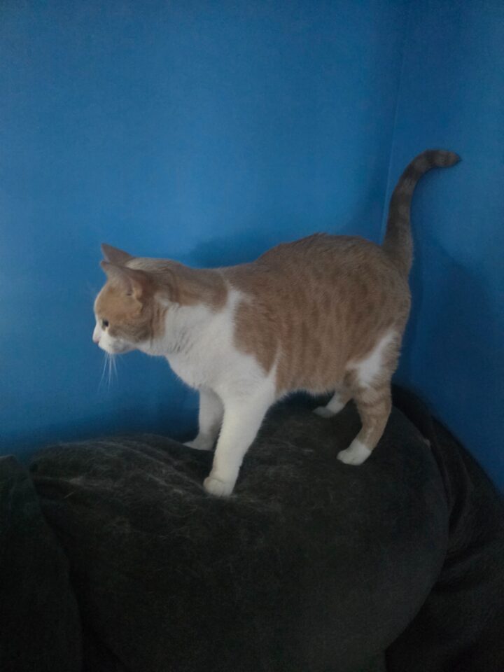 Rusty