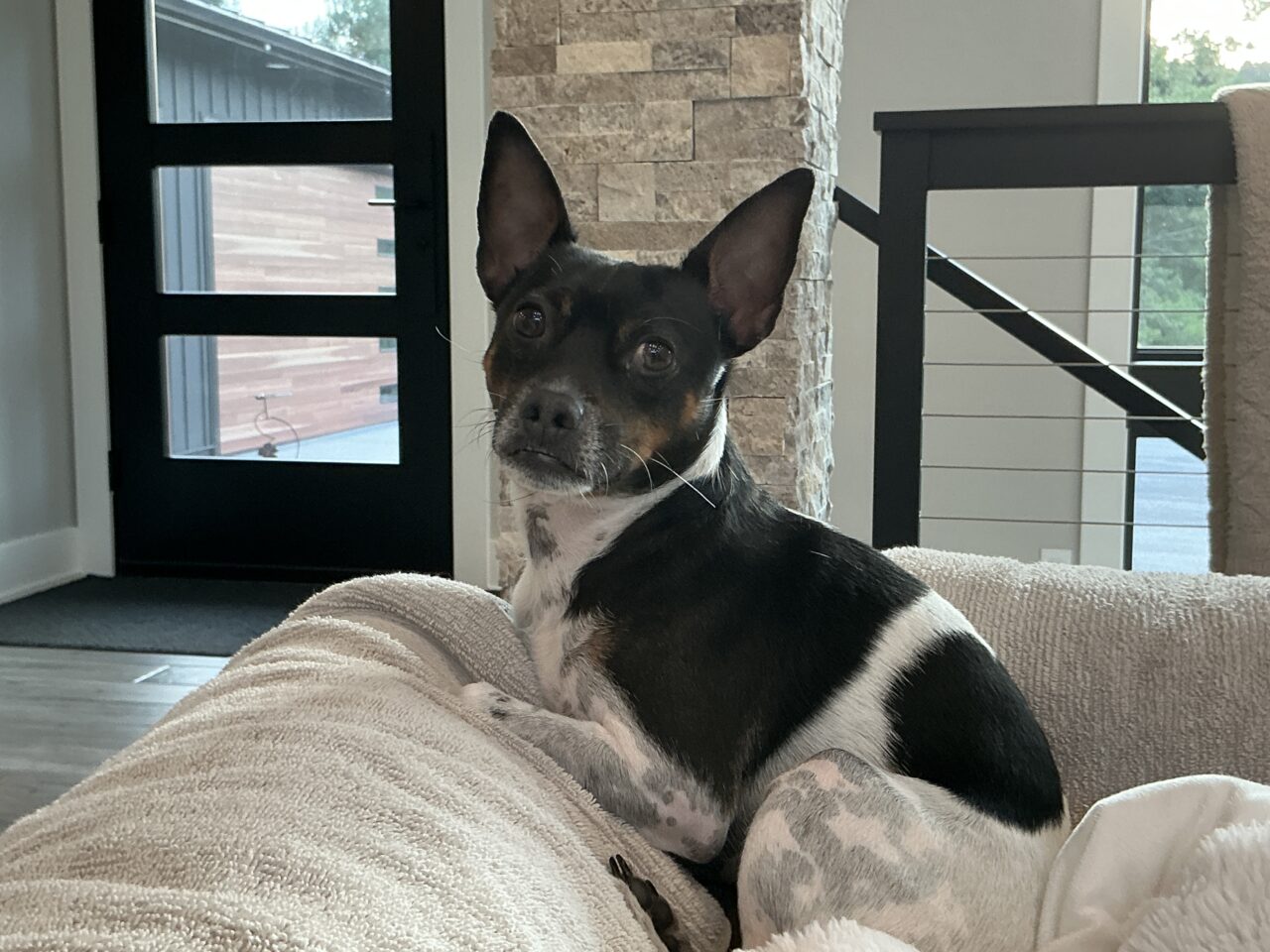 Sammy