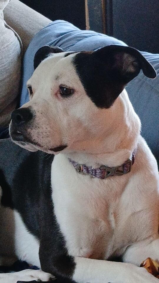 Sophie