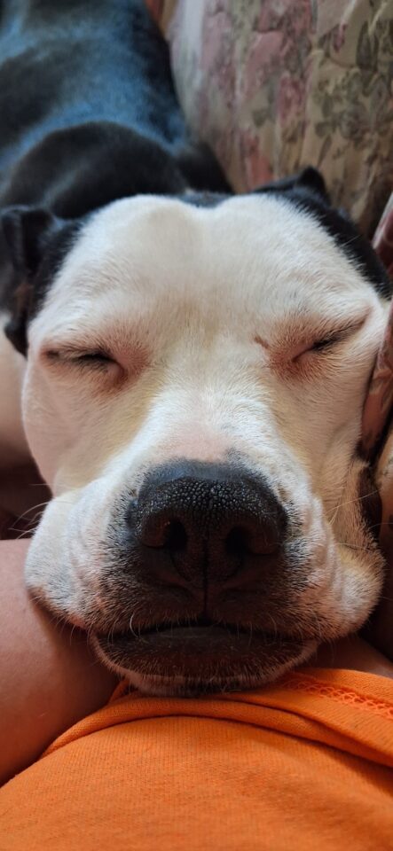 Sophie