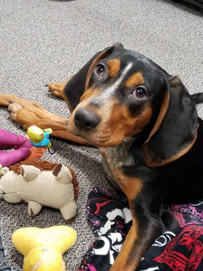 Our sweet ROSCO