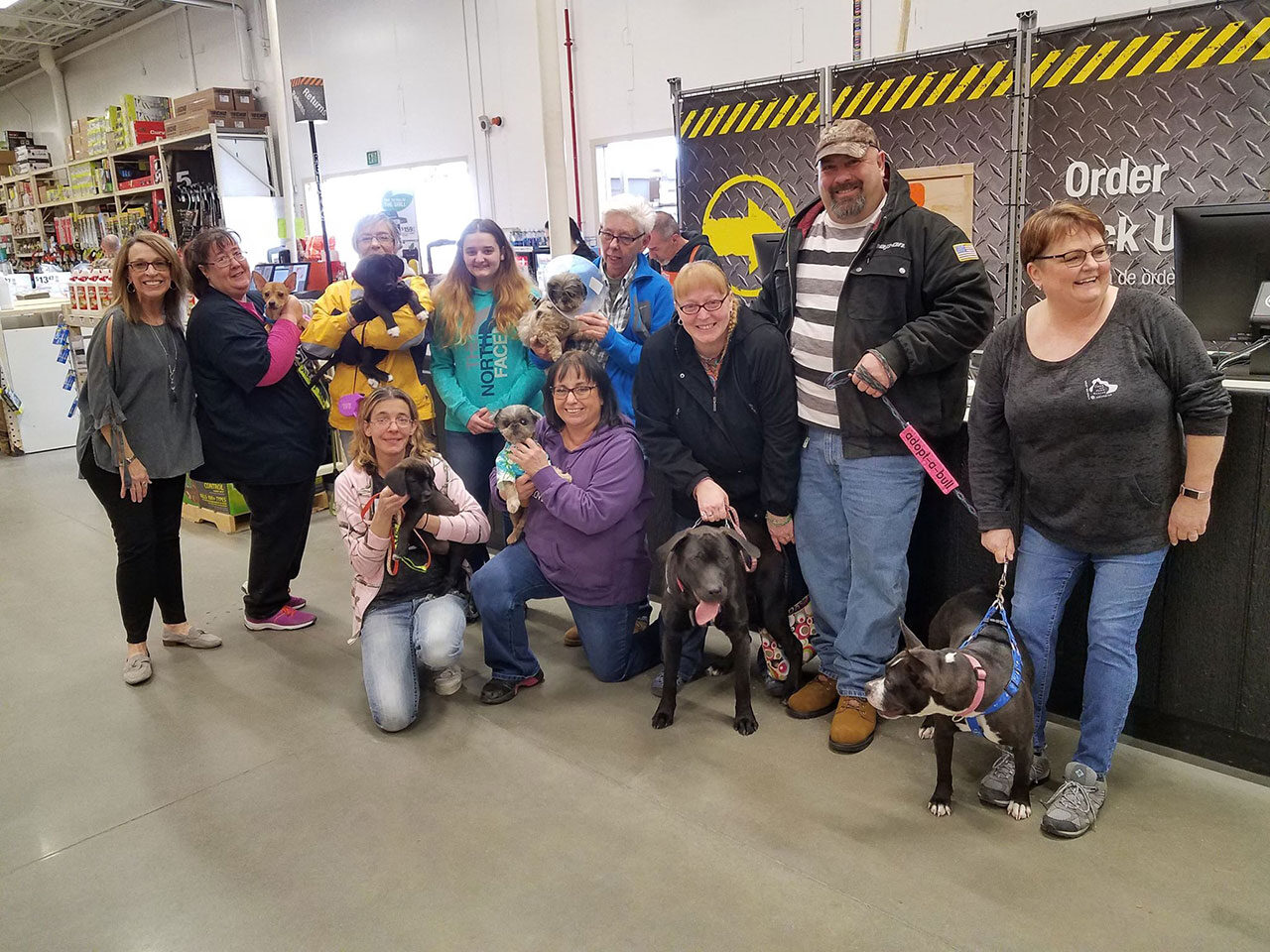 Adoption event crew!