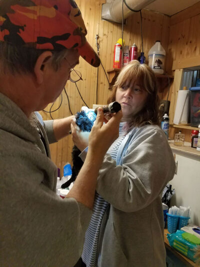 Working intake of the 19 Shih Tzu's