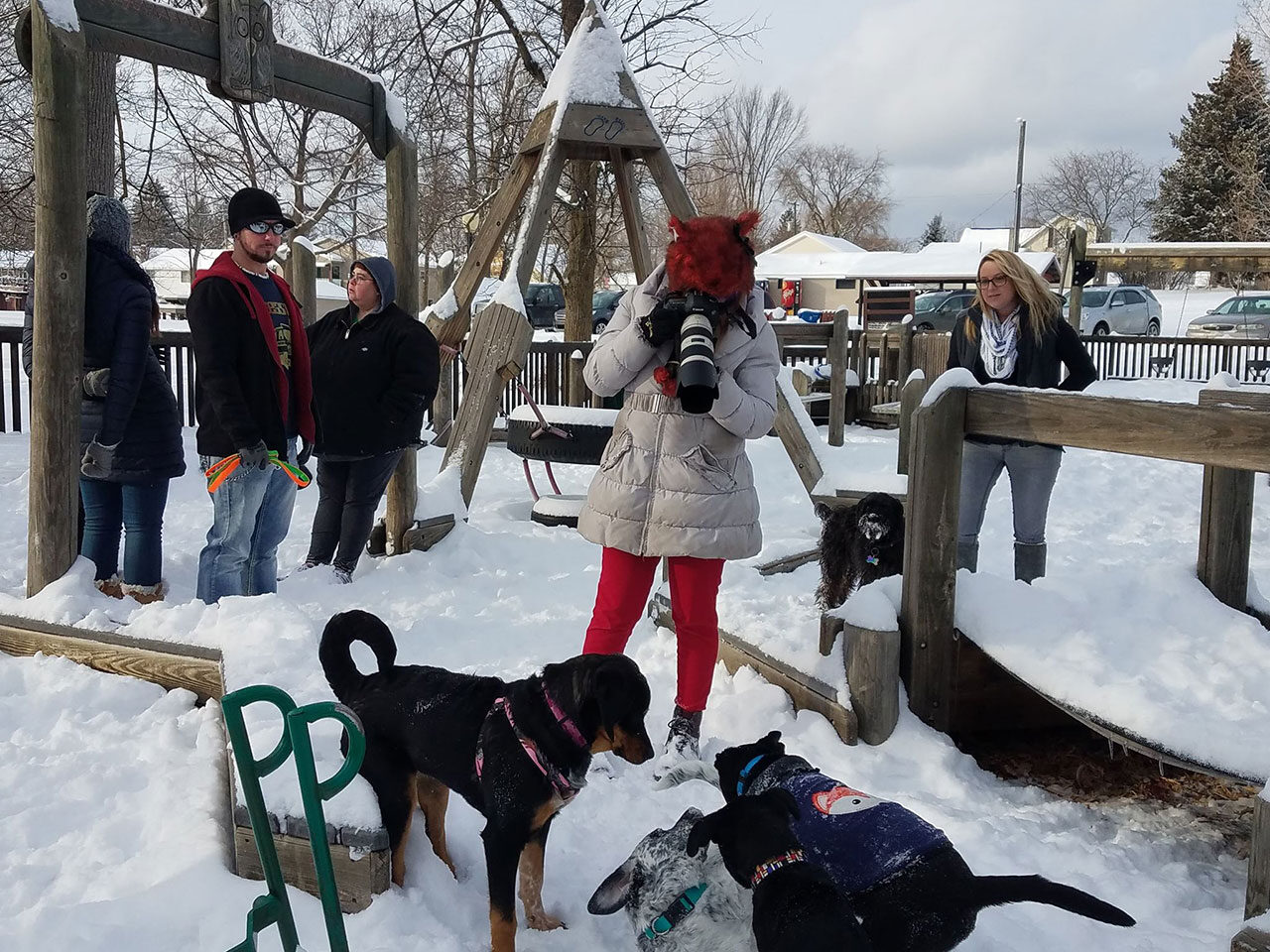 Working her doggie magic